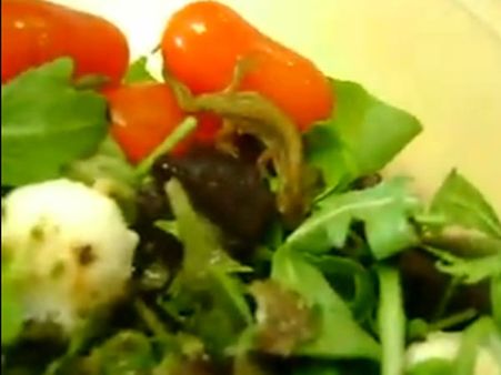 ટોમેટો સલાડમાં ગરોળી