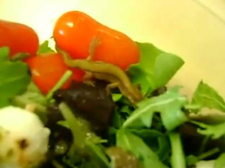 ગરોળી જીવીત અવસ્થામાં હતી