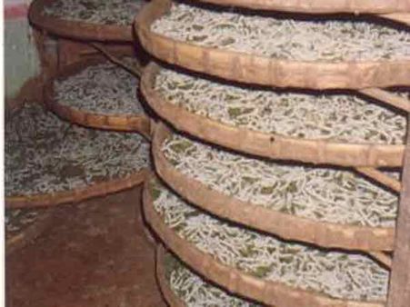 રેશમ ઉત્પાદન