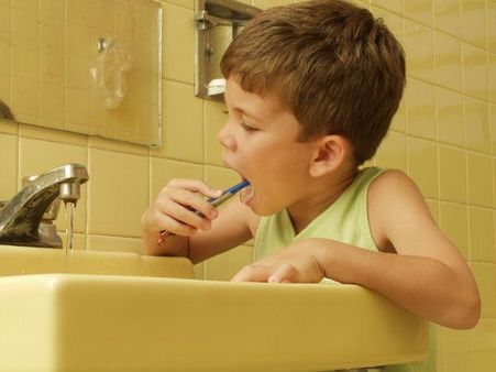 ટોયલેટમાં બ્રશ ના કરો