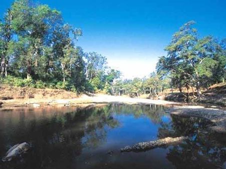 મનોરમ દ્રશ્ય