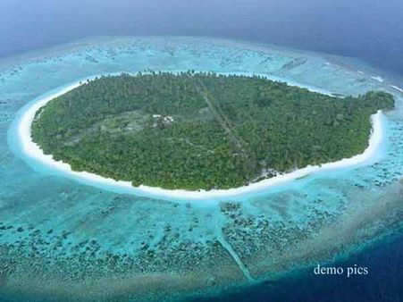 પ્રાઇવેટ આઇલેન્ડ ઓનર