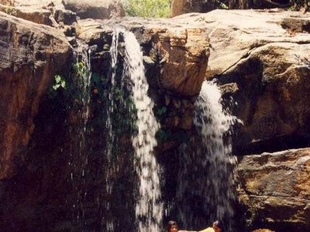  ભૃંગરાજ ઝરણુ