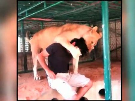 જંગલી પ્રાણી સાથે મસ્તી કરતો હુમેદ