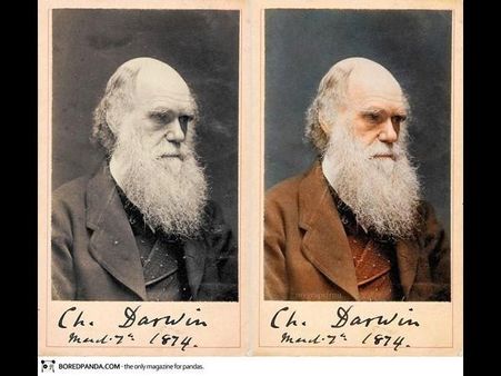 ચાર્લી ડારવિન