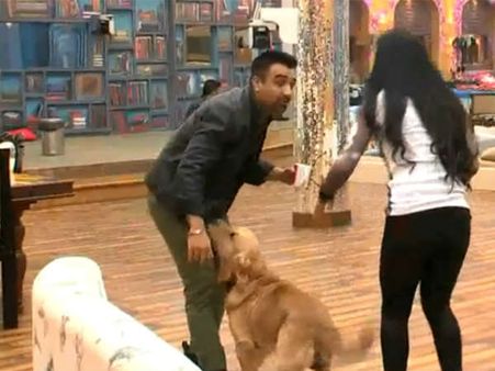 એઝાઝ-એલી