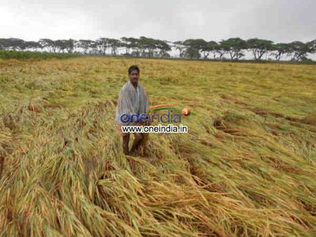 હેલેન તોફાનનો કહેર