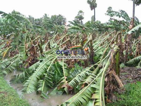 હેલેન તોફાનનો કહેર