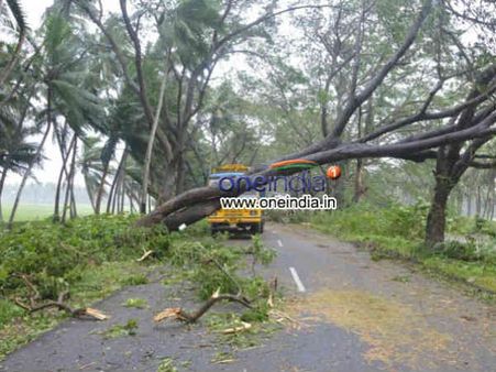 હેલેન તોફાનનો કહેર