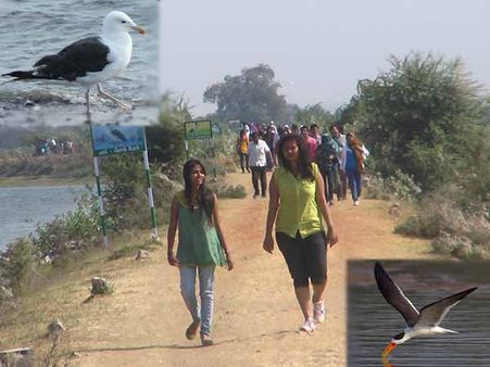 દેસી સ્થળ, વિદેશી મહેમાનઃ પંખીના કલરવથી ખીલી ઉઠે છે આસમાન