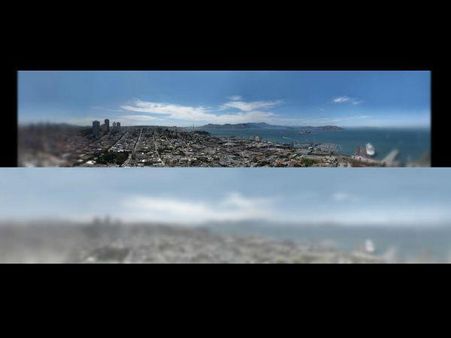 મ્યાઉંની આંખે જુઓ દુનિયા