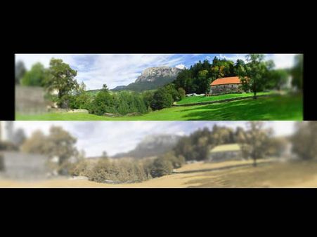 રંગોને જોઇ નથી શકતી 