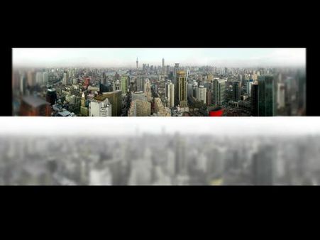 બિલાડી વધારે વિસ્તાર જોઇ શકે છે