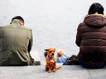 વધુ કેર હોતી નથી