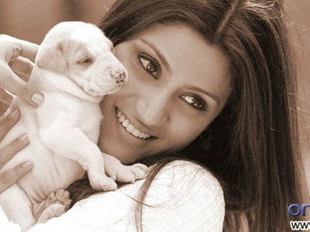 સંબંધો વણસ્યા