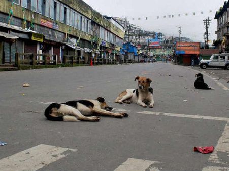 જમીનની ખરીદી નહીં 
