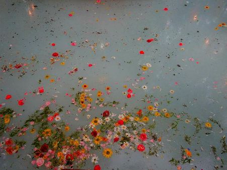 કૂંડમાં પડેલા ફૂલ