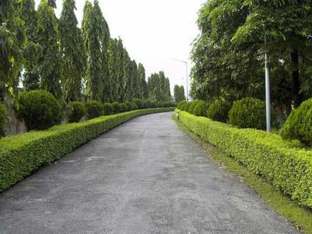 સાયન્સ સિટી