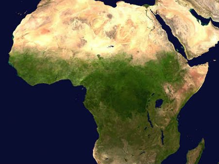 સજાતીય સંબંધો ગેરકાયદેસર અને સજા 