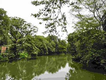 અલીપુર ચિડિયાઘર