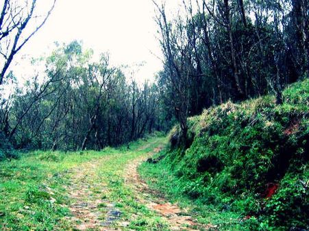 નીલગિરિ પર સાઇકલિંગ