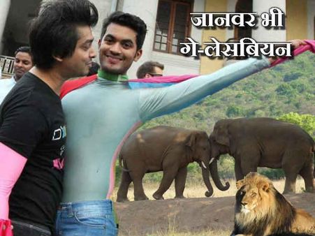 ગે-લેસ્બિતન 