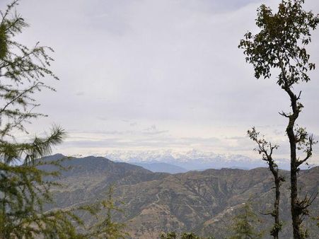 છૂપાયેલા ખજાનાનો પર્દાફાશ