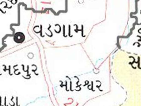 વડગામઃ દિવાલ કુદતા સળિયો વિદ્યાર્થીની આરપાર નીકળ્યો