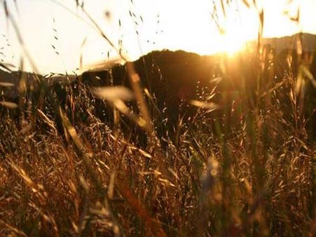 1 માર્ચથી 31 માર્ચ