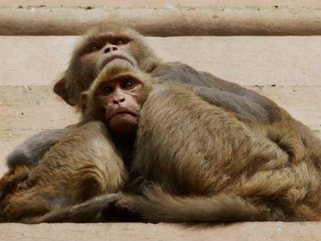 1 ઑગષ્ટથી 31 ઑગષ્ટ