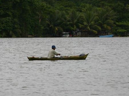 1 જાન્યુઆરીથી 31 જાન્યુઆરી