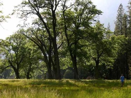 1 ફેબ્રુઆરીથી 28 ફેબ્રુઆરી