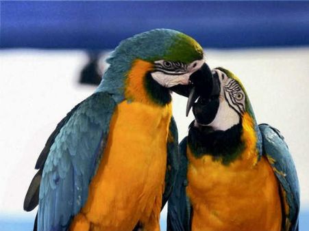 1 માર્ચથી 31 માર્ચ