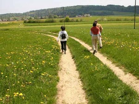 1 ડિસેમ્બરથી 31 ડિસેમ્બર