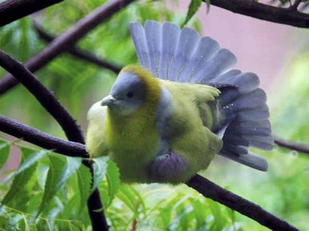 1 જાન્યુઆરીથી 31 જાન્યુઆરી