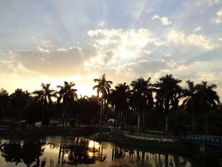 સિટી પાર્ક