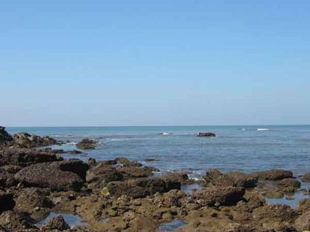 બીચની આકર્ષક છબી