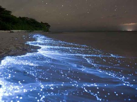 આછા ઝબકારાવાળો દરિયા કિનારો, માલદિવ્સ