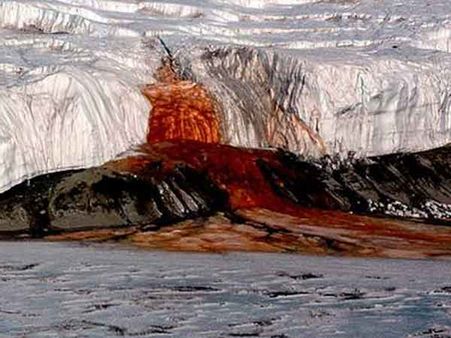 નેચરની આશ્ચર્ય પમાડે તેવી રચના, જોઇને કહેશો આવું તે કંઇ હોય!