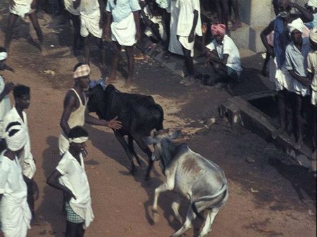 વાયલી વિરત્તુ