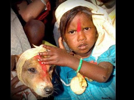 આશ્વર્યજનક! અહીં ગલુડિયા સાથે થાય છે બાળકોના લગ્ન!