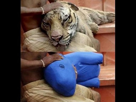 After visual effects 