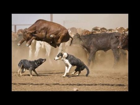 ફેસબુક ટ્રેન્ડિંગ ફોટો ફેસબુક ટ્રેન્ડિંગ ફોટો