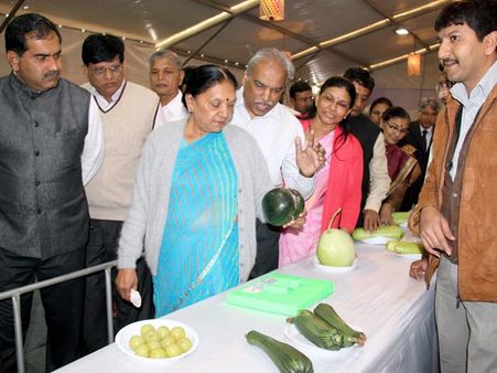 ફ્લાવર શૉ 2014 ફ્લાવર શૉ 2014