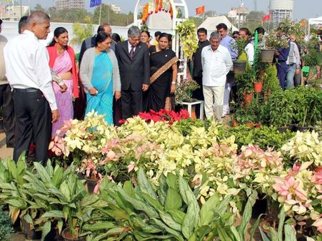 ફ્લાવર શૉ 2014 ફ્લાવર શૉ 2014