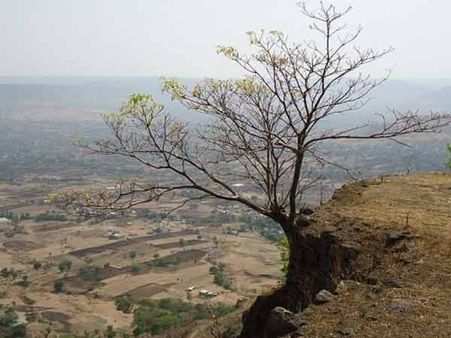 શહેરનો નજારો