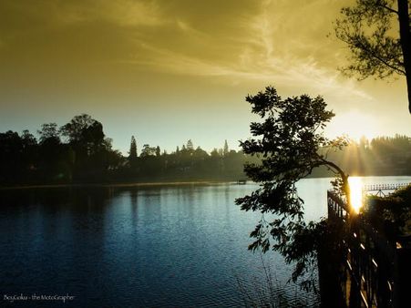 કેવી રીતે પડ્યું નામ