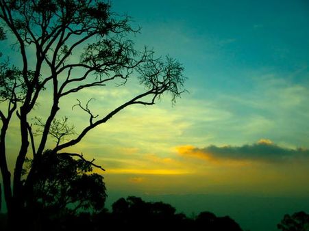 સ્થળની શોધ