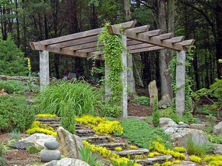 બગીચો બગીચો