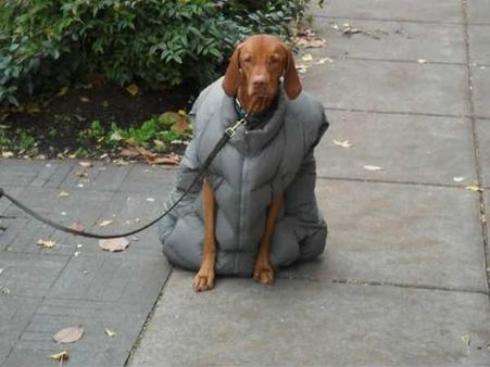 શું મને ઠંડી ના લાગે? 